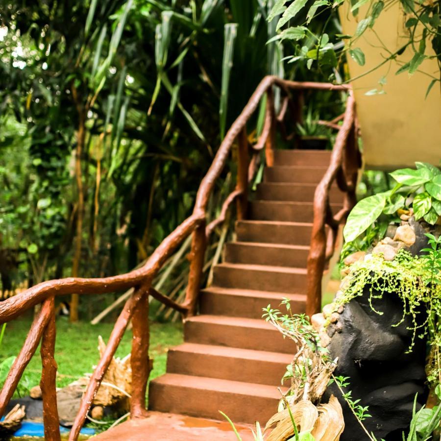 Aloe Vera Guest House Dambulla Exterior foto
