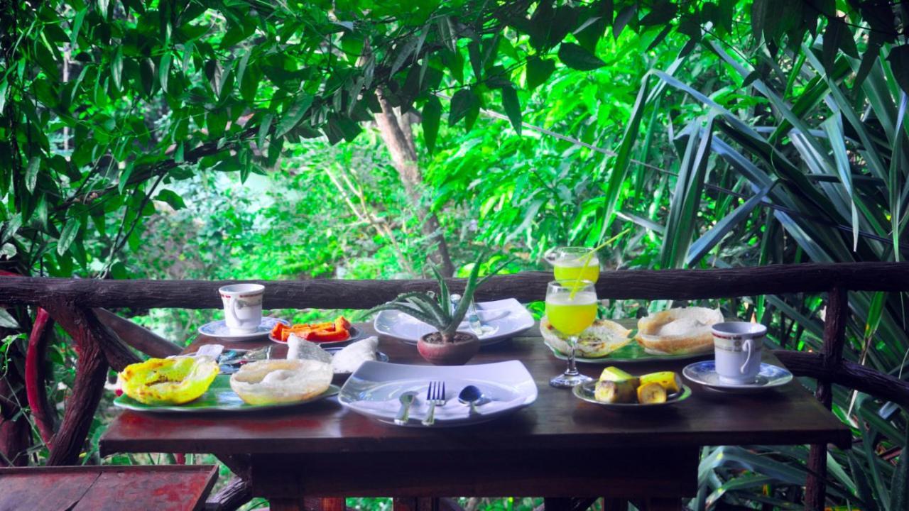 Aloe Vera Guest House Dambulla Exterior foto
