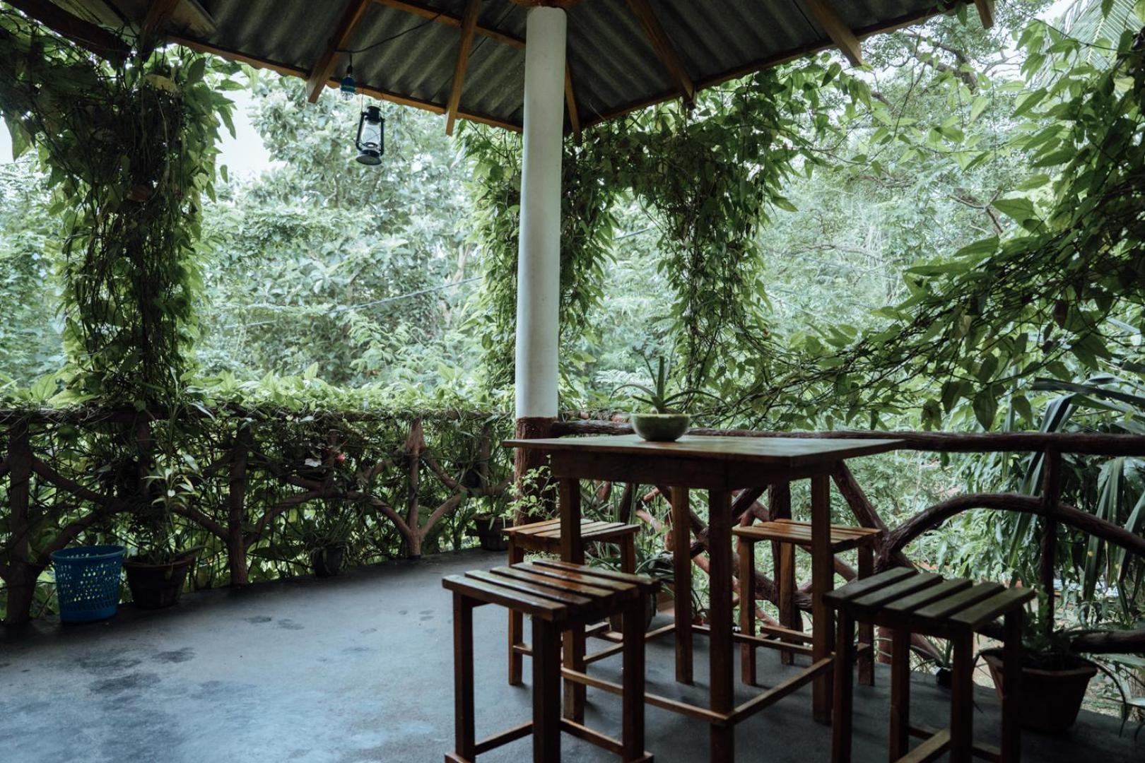 Aloe Vera Guest House Dambulla Exterior foto