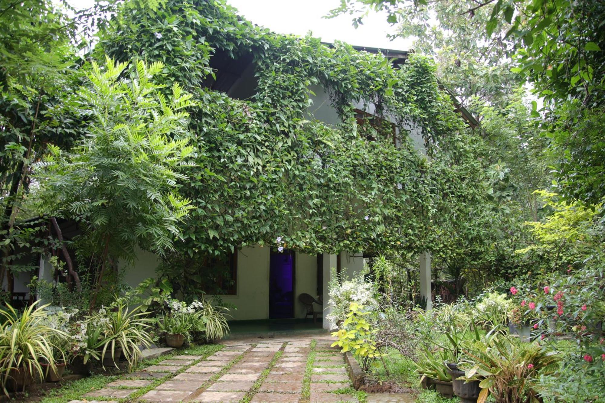 Aloe Vera Guest House Dambulla Exterior foto